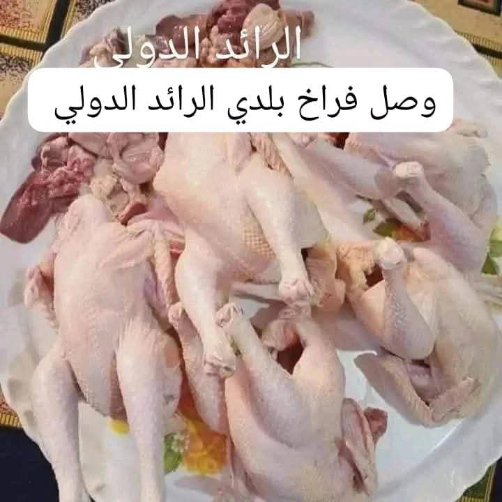 طيور جاهزه علي الطبخ
