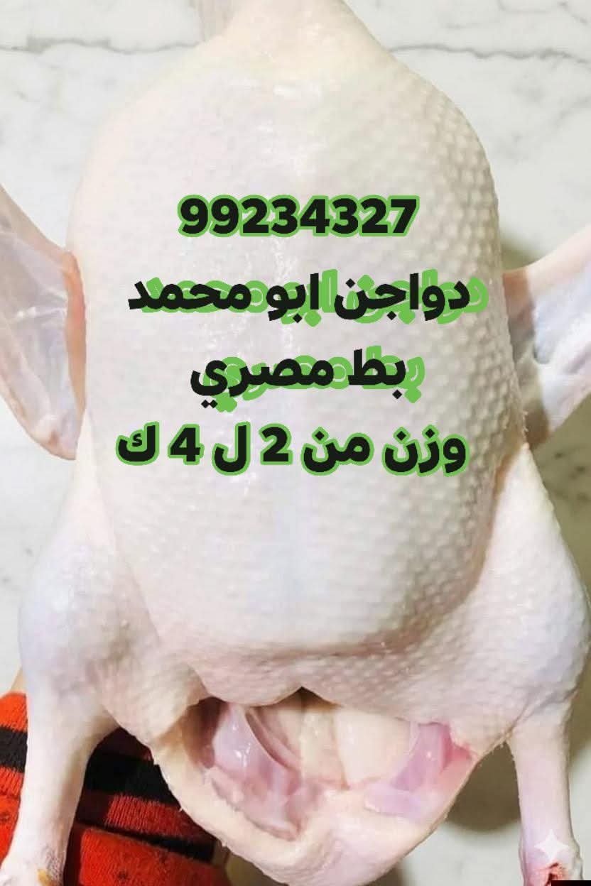 عرووض مميزة وأسعار منافسة دائما حصريا عند  🐔🔥#دواجن #أبو_محمد