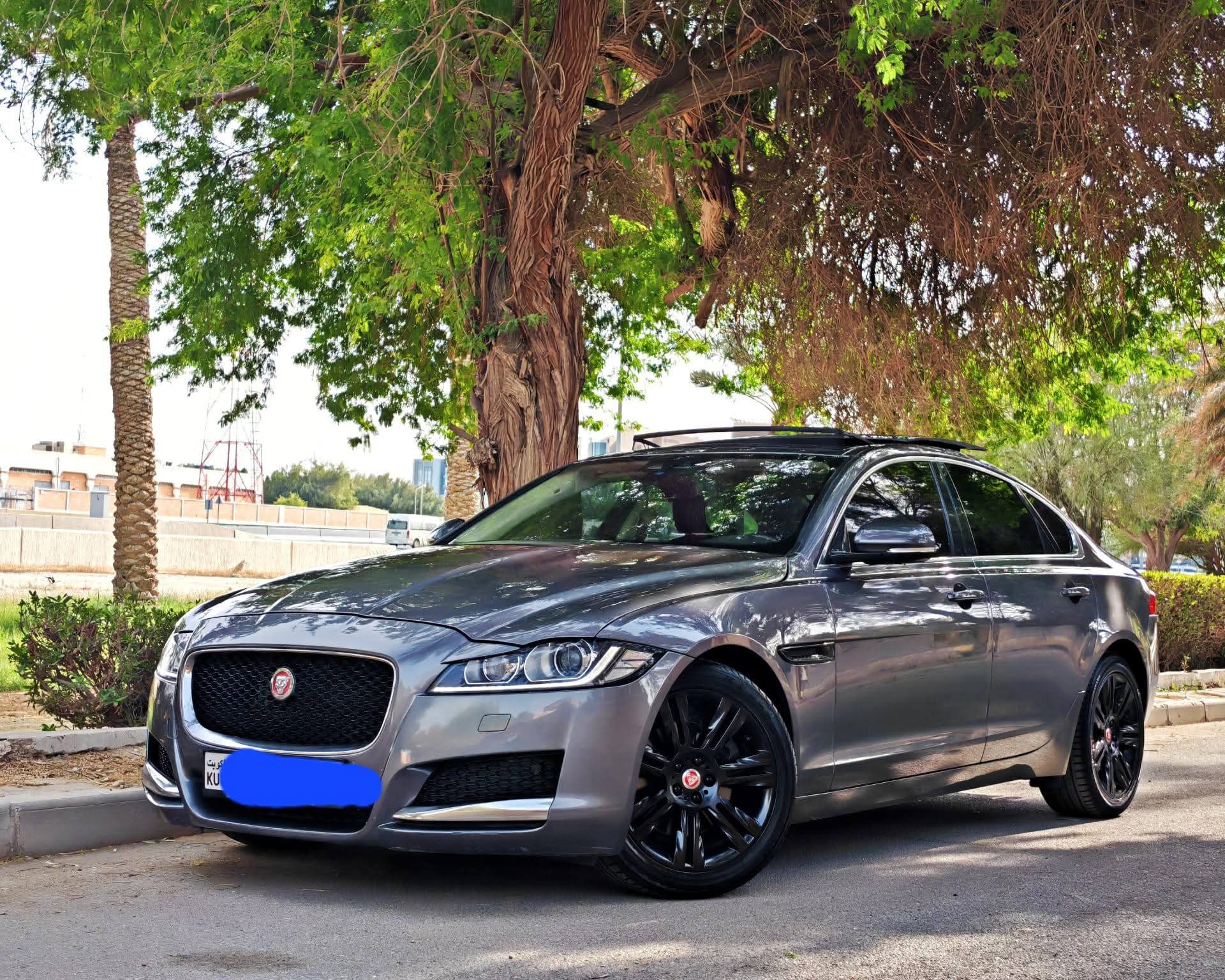 جاكوار XF 2017 - صورة 2
