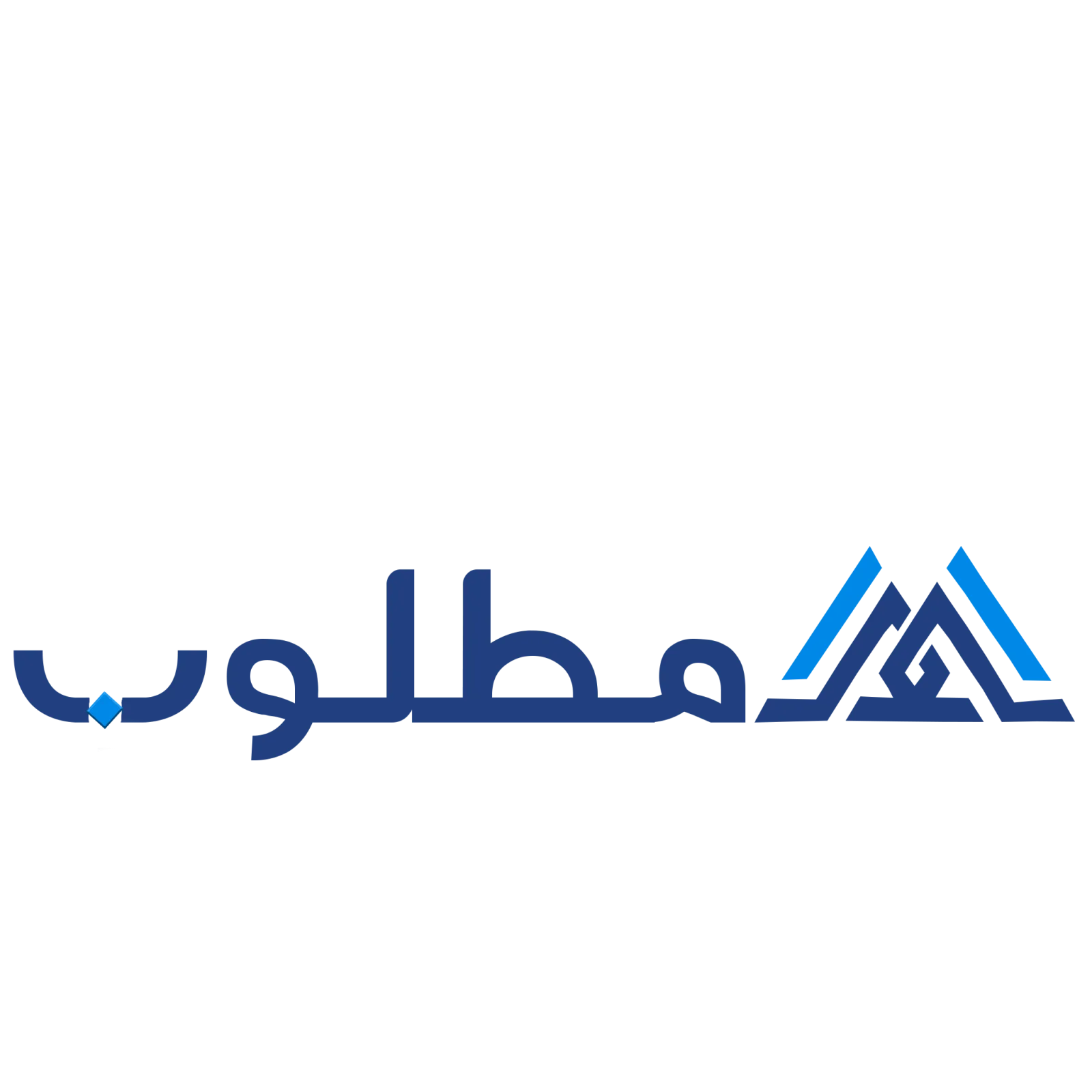 خدمات متاجر الكترونيه ، ويبسايت تعريفي ، تطبيقات الهاتف ، كل ما يخص عالم البرمجة والسيستم