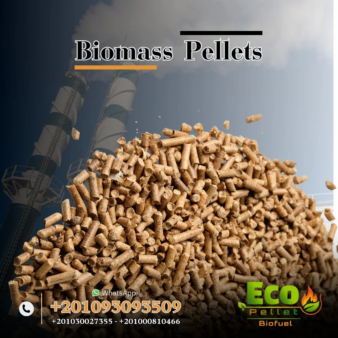 Wood Pellets - إيجار في المعادي